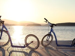 WellnessConnect Hub