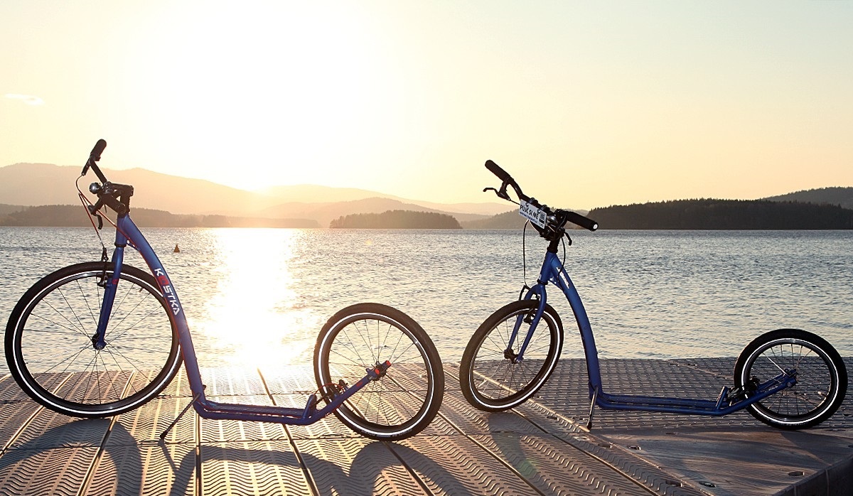 WellnessConnect Hub
